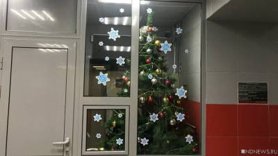 В России меняют требования к установке новогодней елки - newdaynews.ru - Россия