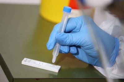 В регионы Украины отправили 260 тысяч быстрых тестов на антиген в коронавирус - zik.ua - Украина
