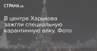 В центре Харькова зажгли специальную карантинную елку. Фото - strana.ua