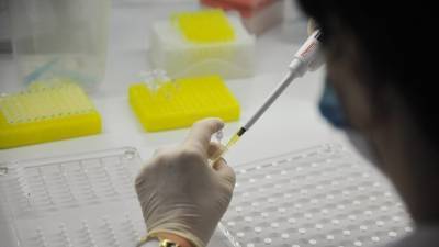 В России проведено более 77 млн тестов на коронавирус - russian.rt.com - Россия