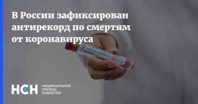 В России зафиксирован антирекорд по смертям от коронавируса - nsn.fm - Россия