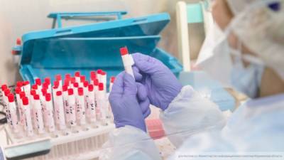 Тест на коронавирус за сутки сдали 34 076 человек в Петербурге - nation-news.ru