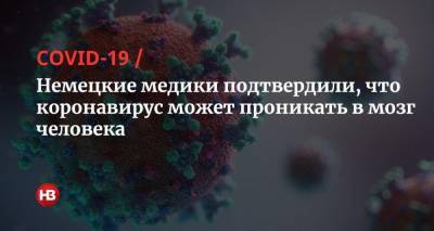 Немецкие медики подтвердили, что коронавирус может проникать в мозг человека - nv.ua