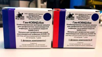 Названа цена российской вакцины от COVID-19 «Спутник V» - gazeta.ru