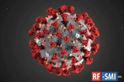 В ЮАР нашли новую разновидность коронавируса - rf-smi.ru - Юар