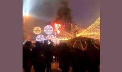 Главная елка Украины загорелась на церемонии открытия - newizv.ru - Украина