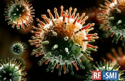 Рекордное число заражений коронавирусом в США - rf-smi.ru - Сша - штат Техас