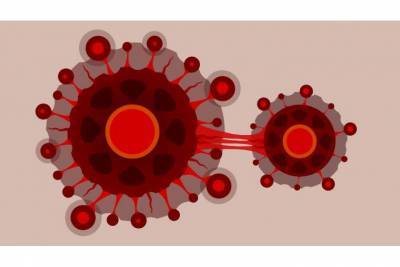 В Европе обнаружена мутация коронавируса на 70% заразнее существующей - aussiedlerbote.de