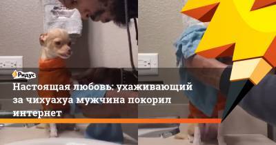 Настоящая любовь: ухаживающий за чихуахуа мужчина покорил интернет - ridus.ru