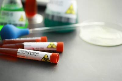 Еще три страны сообщили об обнаружении нового штамма коронавируса - Cursorinfo: главные новости Израиля - cursorinfo.co.il - Австралия - Голландия - Израиль - Дания