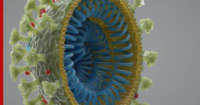 Новый тип коронавируса обнаружили еще в трех странах - profile.ru - Англия - Австралия - Голландия - Дания