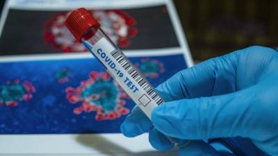 Мэттью Хэнкок - Марья Ван Керкхове - Мутировавший коронавирус из Британии обнаружен в Европе и Австралии - newinform.com - Англия - Австралия - Дания