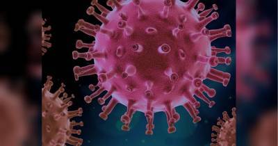 Коронавирус-мутант распространяется по планете: заболевание обнаружено в еще трех странах - fakty.ua - Украина - Австралия - Голландия - Дания