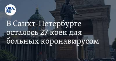 В Санкт-Петербурге осталось 27 коек для больных коронавирусом - ura.news - Санкт-Петербург