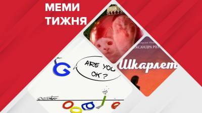 Самые смешные мемы недели: не локдаун, а Googledown, подарки от Николая, министр-плагиатор - 24tv.ua - Сша