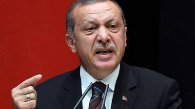 Реджеп Тайип Эрдоган - Жители Турции осудили Эрдогана за нарушение карантина - riafan.ru - Турция - Анкара - Ирак