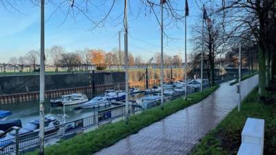 Новый штамм COVID-19 может спровоцировать транспортный "бойкот" Британии - nation-news.ru - Франция - Англия - Австралия - Голландия - Дания - Бельгия - Юар