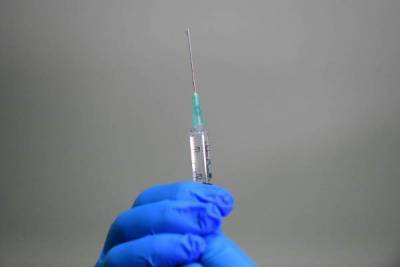 Регистрацию третьей российской COVID-вакцины перенесли на февраль - govoritmoskva.ru