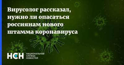 Алексей Аграновский - Вирусолог рассказал, нужно ли опасаться россиянам нового штамма коронавируса - nsn.fm - Россия - Англия - Шотландия