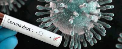 Биологи выявили одну из причин воспаления при заражении коронавирусом - runews24.ru - Сша