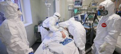 За минувшие сутки в Карелии 388 человек заразились коронавирусом - stolicaonego.ru - республика Карелия