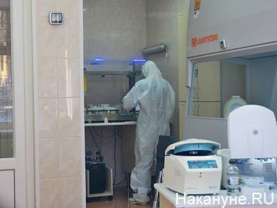 На Южном Урале за время пандемии более 33 тысяч человек заболели коронавирусом - nakanune.ru