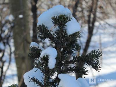 Потепление до -3°С и снегопады придут в Нижний Новгород - vgoroden.ru - Нижний Новгород