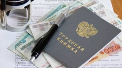 Жители России рассказали об уровне доходов в 2020 году - riafan.ru - Россия - Москва