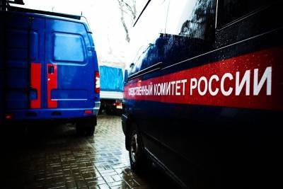 Убитая мужем нижегородка перед гибелью обращалась к правоохранителям - vgoroden.ru