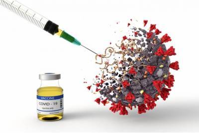 CureVac в Майнце начинает третью фазу исследования вакцины от коронавируса - aussiedlerbote.de