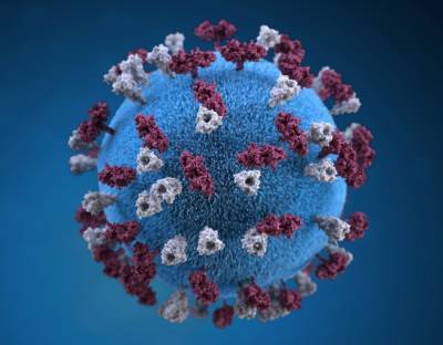 Мутация коронавируса: что известно о новом штамме и насколько это опасно - 24tv.ua - Англия