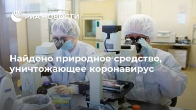 Найдено природное средство, уничтожающее коронавирус - ria.ru - Москва