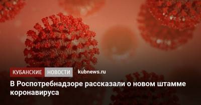 Александр Горелов - В Роспотребнадзоре рассказали о новом штамме коронавируса - kubnews.ru - Англия