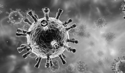 Новый штамм коронавируса может появиться в России - mkset.ru - Россия - Англия