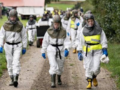 Пандемия: из-за коронавируса Дания на год запретила разведение норок - unn.com.ua - Киев - Дания