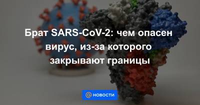 Брат SARS-CoV-2: чем опасен вирус, из-за которого закрывают границы - news.mail.ru - Англия