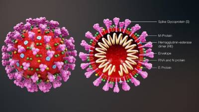 Инфекционист дал прогноз по мутации коронавируса на пять лет - inforeactor.ru - Англия