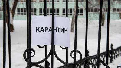 На карантин из-за коронавируса ушли 87 российских школ - gazeta.ru - Россия