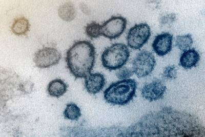 Сумия Сваминатан - Отличаются ли мутации коронавируса от мутаций гриппа: объяснение ВОЗ - 24tv.ua - Англия