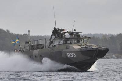 Ресурс InfoBrics: Швеция может стать новым военным противником России - argumenti.ru - Россия - Сша - Швеция