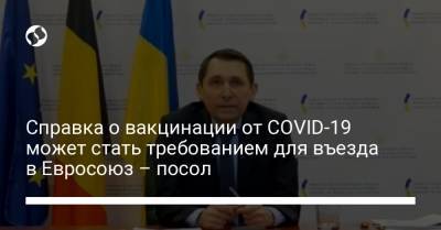 Справка о вакцинации от COVID-19 может стать требованием для въезда в Евросоюз – посол - liga.net - Украина - Евросоюз - Брюссель