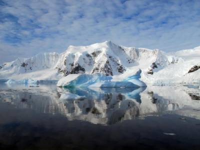 В Антарктиде нашли коронавирус. Это был последний континент, куда не добралась болезнь - gordonua.com - Чили - Антарктида