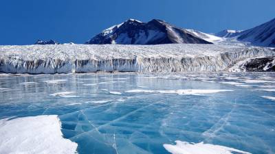 Антарктида лишилась статуса свободного от COVID-19 материка - mir24.tv - Антарктида