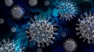 Что известно о новой мутации коронавируса N501Y? - piter.tv - Англия - Лондон