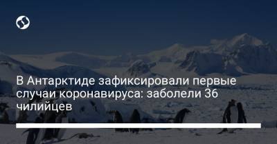 В Антарктиде зафиксировали первые случаи коронавируса: заболели 36 чилийцев - liga.net - Украина - Чили - Антарктида