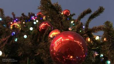 Названы самые популярные виды елок на Новый год среди россиян - nation-news.ru - Санкт-Петербург