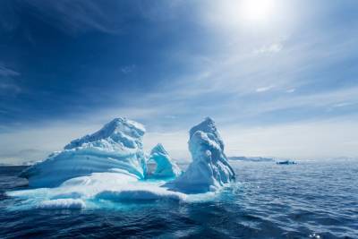 В Антарктиде обнаружили первые случаи COVID-19 - 24tv.ua - Чили - Антарктида