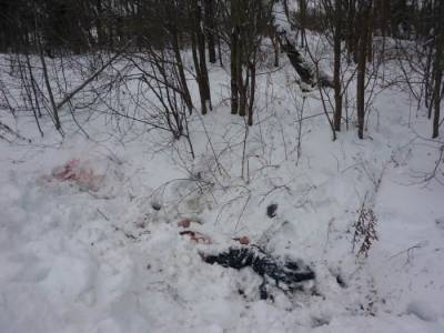 Убитая мужем нижегородка сняла их последний разговор на видео - vgoroden.ru