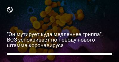"Он мутирует куда медленнее гриппа". ВОЗ успокаивает по поводу нового штамма коронавируса - liga.net - Украина