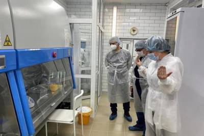 Лаборатория ПЦР-диагностики в Сортавале поможет снизить нагрузку на петрозаводские лаборатории - karel.mk.ru